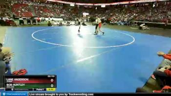 D2-113 lbs 5th Place Match - Lane Anderson, Amery vs Bob Huntley, Brillion