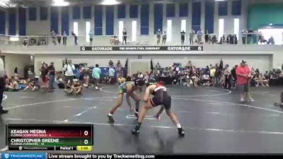 100 lbs Round 6 (8 Team) - Christopher Greene, Florida Punishers vs Keagan Mesina, Florida Scorpions Gold