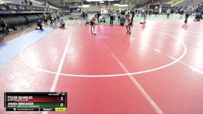 88 lbs Cons. Semi - Tyler Quarles, Elite Athletic Club vs Owen Birkaker, Pursuit Wrestling Minnesota