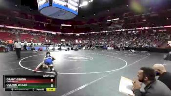 D3-113 lbs Champ. Round 1 - Grant Gibson, Random Lake vs Colton Weiler, Auburndale