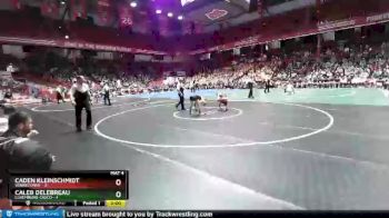 132 lbs D2/d3 - Semi-finals (sat 10:00am.) - Caden Kleinschmidt, Winneconne vs Caleb Delebreau, Luxemburg-Casco