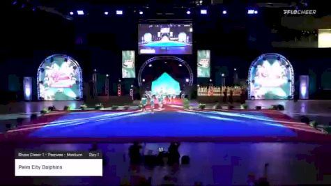 Palm City Dolphins [2020 Show Cheer 1 - Peewee - Medium Day 1] 2020 Pop Warner National Cheer & Dance Championship