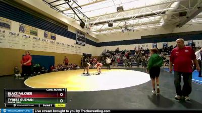 138 lbs Cons. Round 4 - Tyrese Guzman, Shadle Park vs Blake Falkner, Mt. Spokane