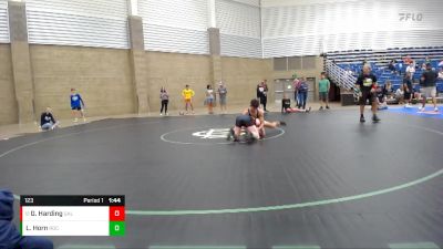 123 lbs Cons. Round 7 - Gradey Harding, Galion vs Layne Horn, Rochester