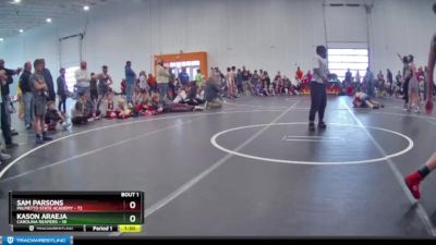 140 lbs Semis (4 Team) - Sam Parsons, Palmetto State Academy vs Kason Araeja, Carolina Reapers