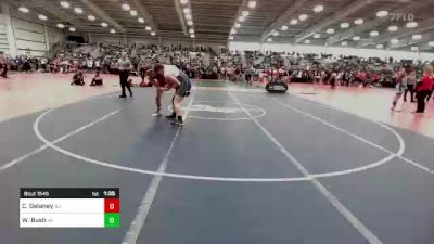 195 lbs Quarterfinal - Conor Delaney, NJ vs Wyatt Bush, VA