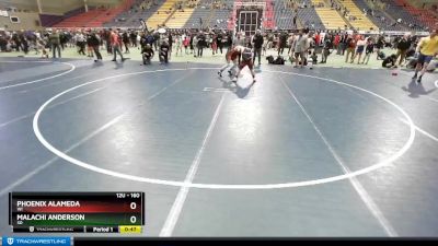 160 lbs Quarterfinal - Malachi Anderson, SD vs Phoenix Alameda, WI