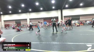 60 lbs Semis (4 Team) - Colby Waddell, Carolina Hammer Squad vs Liam Ferguson, Team Palmetto