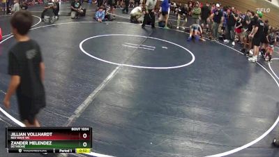 65 lbs Quarterfinal - Zander Melendez, Dethrone vs Jillian Vollhardt, RED WAVE WC