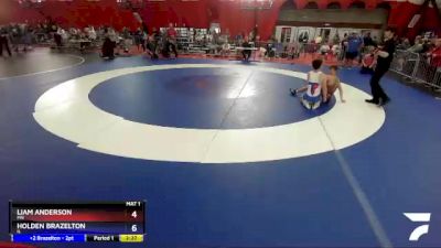 132 lbs Quarterfinal - Liam Anderson, MN vs Holden Brazelton, IL