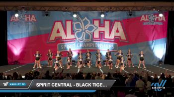 Spirit Central - Black Tigers [2023 L2 Junior - Medium Day 1] 2023 Aloha Worcester Showdown