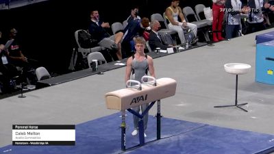 Caleb Melton - Pommel Horse, Apollo Gymnastics - 2021 US Championships