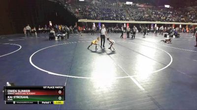 49 lbs 1st Place Match - Owen Slinker, Sebolt Wrestling Academy vs Kai Strosahl, Iowa