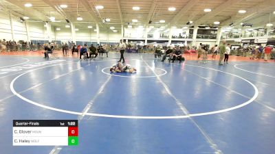 79 lbs Quarterfinal - Connor Glover, Mountain Valley Youth vs Cameron Haley, Wolfgang Wr Ac