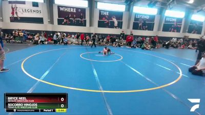 46 lbs 3rd Place Match - Bryce Neel, NB Elite Wrestling Club vs Socorro Hinojos, Texas Elite Wrestling Club