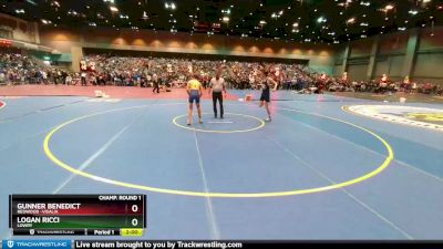 126 lbs Champ. Round 1 - Logan Ricci, Lowry vs Gunner Benedict, Redwood -Visalia