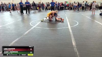 110 lbs Quarterfinals (8 Team) - Avery Anderson, South Hills vs Jake Shaffer, Donahue WA