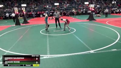 110 lbs Champ. Round 1 - Andrew Baughman, NRK1 vs Jackson Roose, AYE3