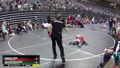 65 lbs Finals (8 Team) - Brooklynn White, Kansas Aqua Lizard vs Ainslee Kerr, Nebraska Red