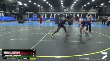 167 lbs Round 4 (8 Team) - Michael Baldwin, Michigan Gold Pitbulls vs Jeremiah Detwiler, Michigan Monkeys