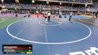 5A 126 lbs Semifinal - Tristan Luna, Comal Smithson Valley vs Ashton Bennert, Canyon Randall