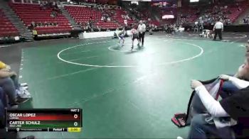 D2-113 lbs Champ. Round 1 - Oscar Lopez, Lomira vs Carter Schulz, Rice Lake