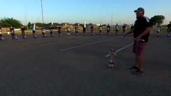 In The Lot: Genesis Brass