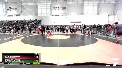 93 lbs Quarterfinal - Zakkary LaRue, Black Belt Wrestling Academy vs Vitalii Pushnin, LeRoy Wrestling