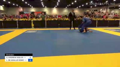 DAVID ANDREW SIGLER vs LUCAS DE ARAUJO GOMES 2022 World Master IBJJF Jiu-Jitsu Championship