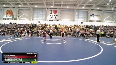 94 lbs Champ. Round 1 - Cole Davey, B2 Wrestling Academy vs Gunner McArthur, Journeymen Wrestling Club