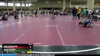 85 lbs Round 4 (6 Team) - Jake Strickland, Team Palmetto vs Gavin Matheis, Alabama Elite Black&nbsp;