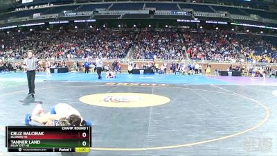 D3-120 lbs Champ. Round 1 - Cruz Balcirak, Gladwin HS vs Tanner Land, Imlay City HS