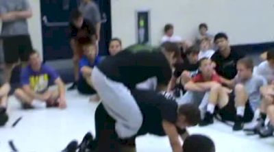 David Taylor's Leg In Arm Bar Turn