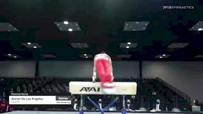 Adrian De Los Angeles - Pommel Horse, USOPTC - 2021 Winter Cup & Elite Team Cup