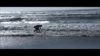 Oregon Coast Is Brisk