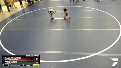 3rd Place Match - Charlee Patton, Rum River Wrestling vs Paris Guelig, Minnesota