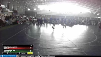 87 lbs Champ Round 1 (16 Team) - Colton Roberts, INWTC vs Simon Carter, Bear Cave