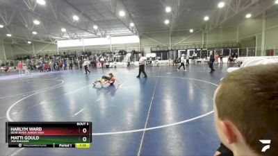 70 lbs Round 1 - Harlym Ward, Bear River Junior High vs Matti Gould, 208 Badgers