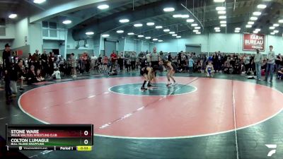 82 lbs Cons. Round 3 - Colton Lumagui, Bull Island Grappling vs Stone Ware, Willie Walters Wrestling Club