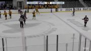 Replay: Home - 2024 Liberty University vs Adrian College | Mar 10 @ 4 PM