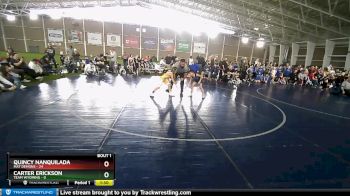71 lbs Round 1 (4 Team) - Carter Erickson, Team Wyoming vs Quincy Nanquilada, Mat Demons
