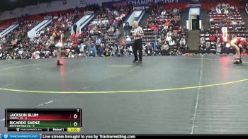 126 lbs Quarterfinals (8 Team) - Jackson Blum, Lowell HS vs Ricardo Saenz, Brother Rice HS