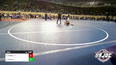 65 lbs Consi Of 8 #1 - Allison Kelley, Tuttle Wrestling Club vs Chloe Crelia, Elgin Wrestling