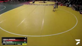 70 lbs Semis (4 Team) - Joshua Anderson, LCWM vs Rex Hillmann, Dassel-Cokato-Litchfield