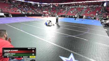 D2-220 lbs 3rd Place Match - Joseph Volz, Campbellsport vs Damon Schmidt, Brillion