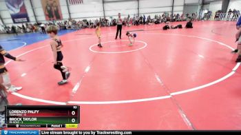 52 lbs Rd# 7- 10:45am Saturday Final Pool - Brock Taylor, PA Gold vs Lorenzo Palfy, Team Ohio