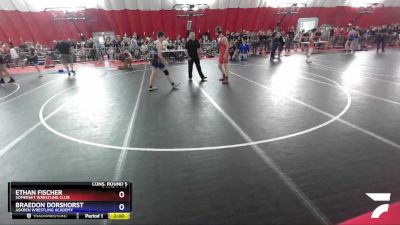 145 lbs Cons. Round 5 - Ethan Fischer, Somerset Wrestling Club vs Braedon Dorshorst, Askren Wrestling Academy