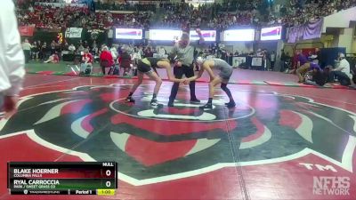 A - 132 lbs Cons. Round 1 - Ryal Carroccia, Park / Sweet Grass Co vs Blake Hoerner, Columbia Falls