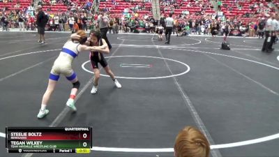 60 lbs Quarterfinal - Steelie Boltz, Renegades vs Tegan Wilkey, Team Haysville Wrestling Club