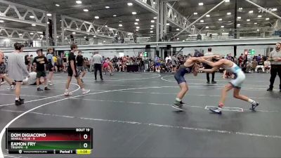 113 lbs Round 5 (8 Team) - Eamon Fry, Triumph vs Dom DiGiacomo, Seagull Blue